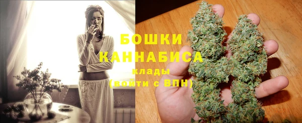 прущие грибы Ладушкин