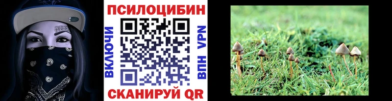 купить наркотики сайты  Железногорск  Псилоцибиновые грибы MAGIC MUSHROOMS 